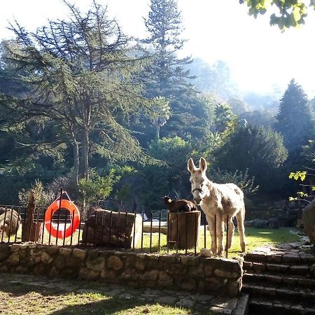 Quinta Do Castanheiro Hotell Sintra Exteriör bild