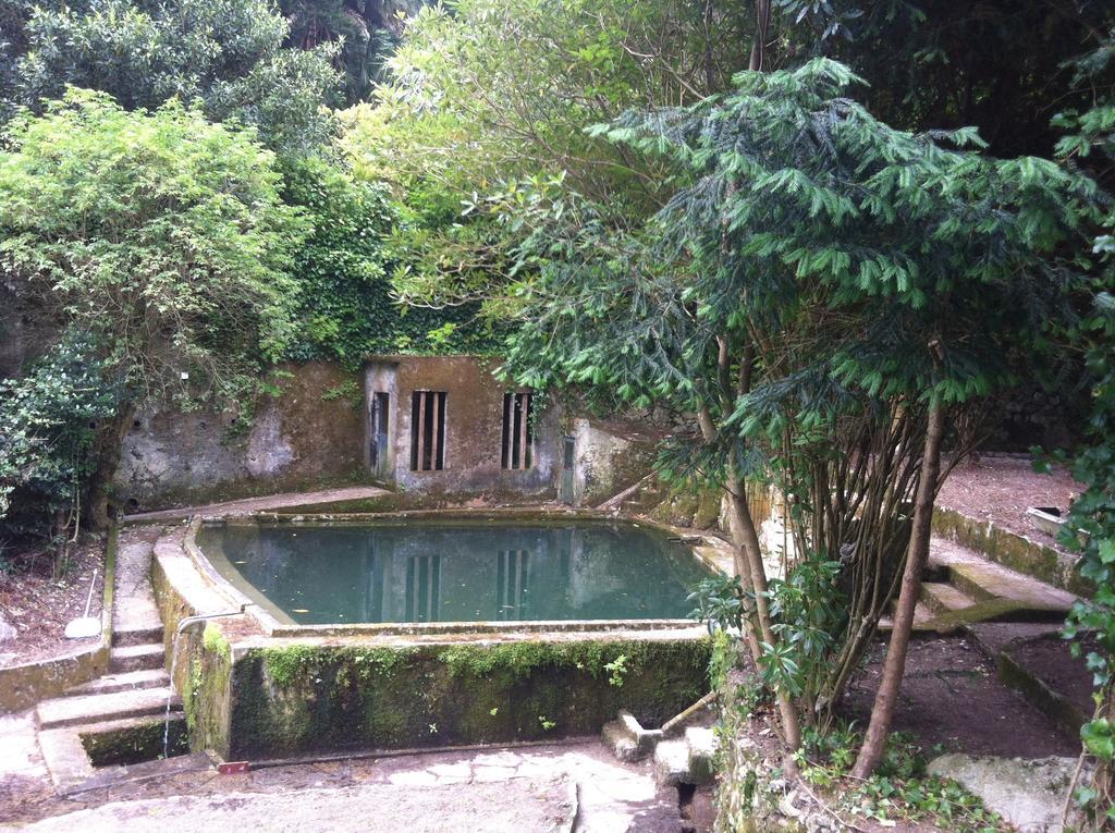 Quinta Do Castanheiro Hotell Sintra Exteriör bild