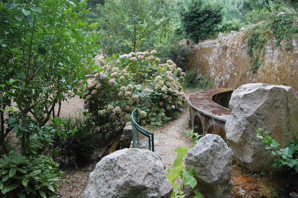 Quinta Do Castanheiro Hotell Sintra Exteriör bild