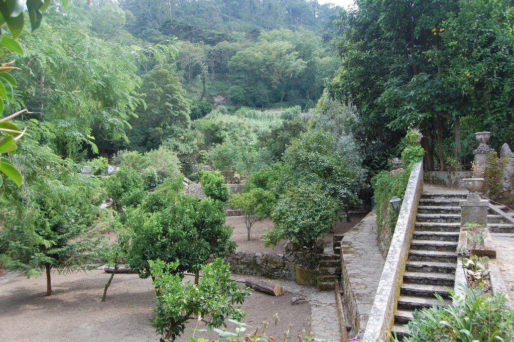 Quinta Do Castanheiro Hotell Sintra Exteriör bild