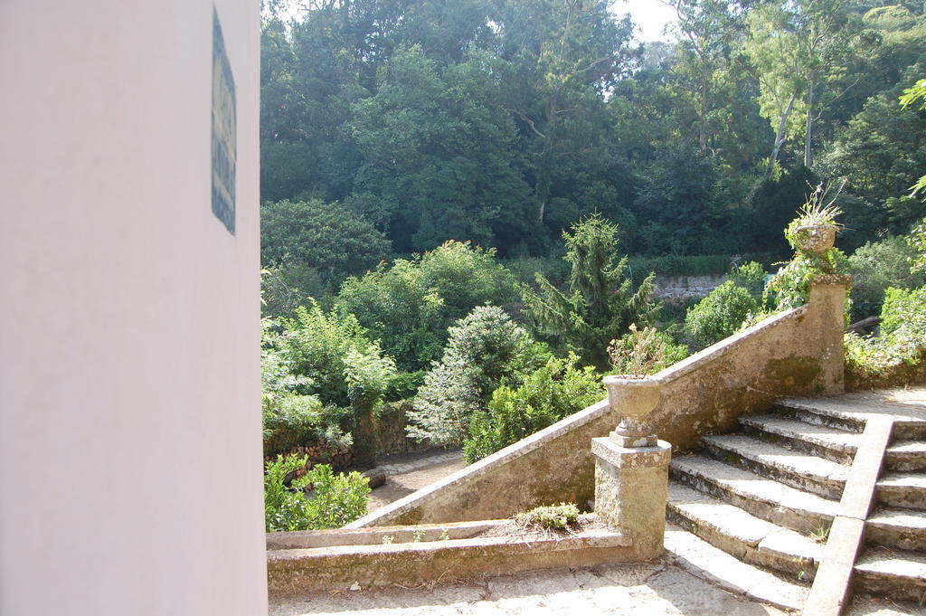 Quinta Do Castanheiro Hotell Sintra Exteriör bild